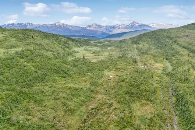 Flotte jaktområder