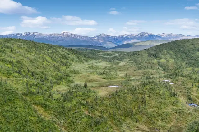 Flotte jaktområder