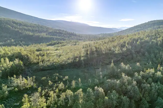 Jaktområde