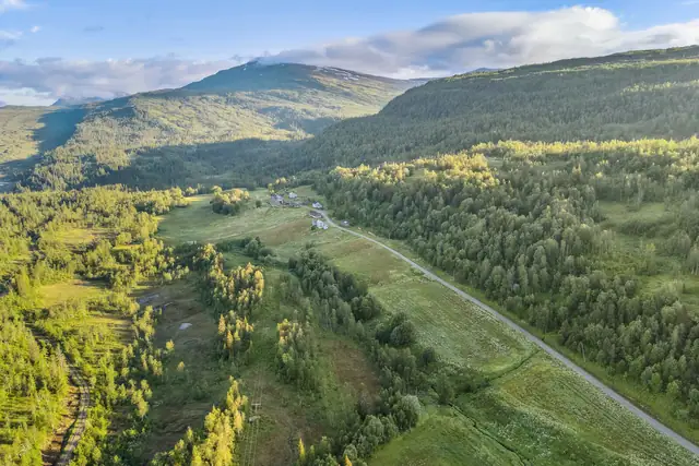 I følge gårdskart fra NIBIO, er det 392,6 dekar skog av middels bonitet og 482,4 dekar i lav bonitet.