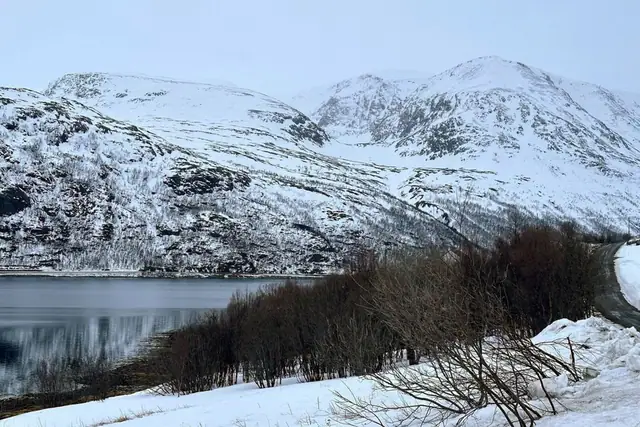 5601-4/152/0/0 0, Langfjordbotn — bilde 5
