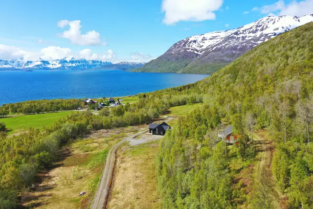 Området